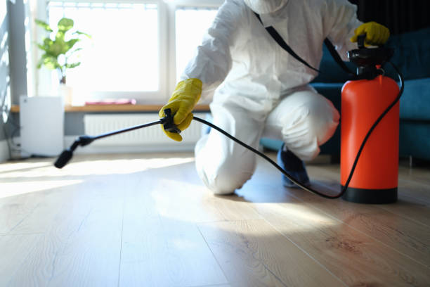 Reliable Biohazard Cleanup contractor in Clarksville, MI by Dulley Family Biohazard Services